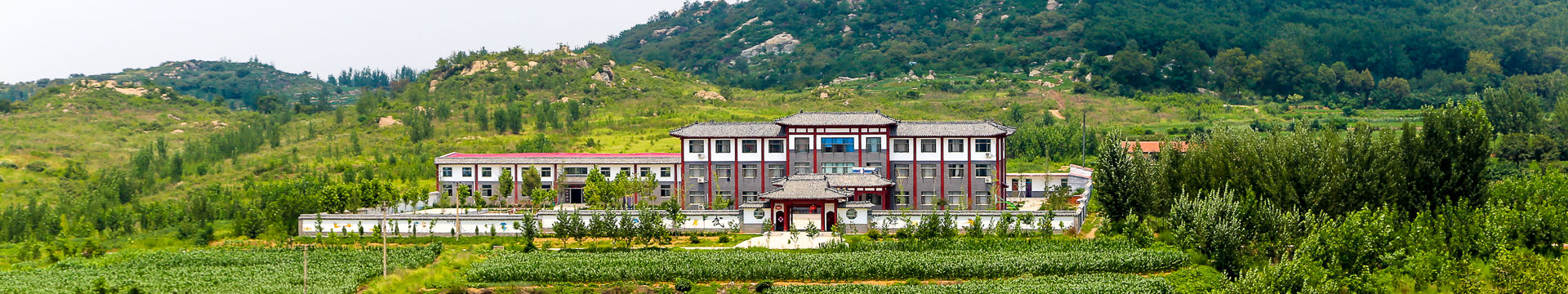La scuola internazionale di Kung Fu Shaolin a Qufu, in Cina